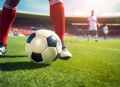 马龙樊振东,挺进男乒世,界杯八强,九游娱乐,九游娱乐入口,九游娱乐平台,九游娱乐官方