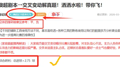红色沙漠寻神秘松茸攻略